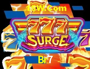 Br7 - Customer Support
